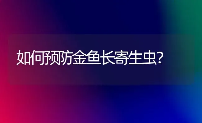 如何预防金鱼长寄生虫？ | 鱼类宠物