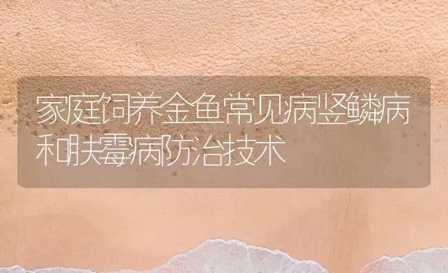 家庭饲养金鱼常见病竖鳞病和肤霉病防治技术 | 宠物病虫害防治