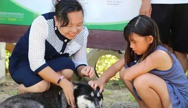 鼻头国小校犬遭撞死离世 师生泪：一路好走 | 狗