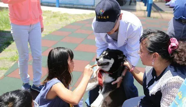 鼻头国小校犬遭撞死离世 师生泪：一路好走 | 狗