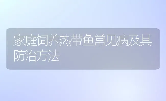 家庭饲养热带鱼常见病及其防治方法 | 宠物病虫害防治