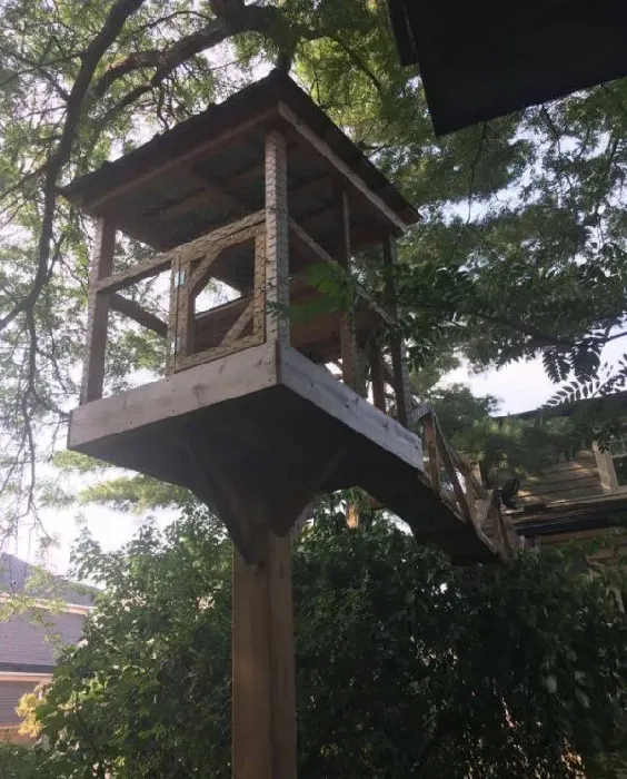 猫奴打造超梦幻树屋 室内猫也可以出去透透气