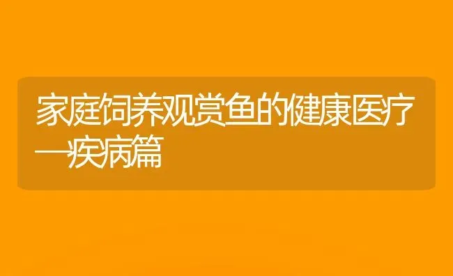 家庭饲养观赏鱼的健康医疗─疾病篇 | 宠物病虫害防治