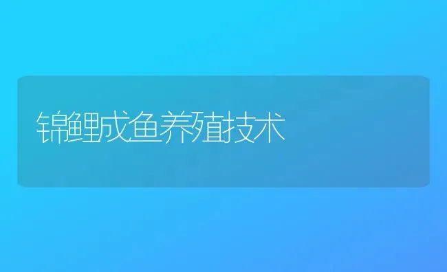 锦鲤成鱼养殖技术 | 鱼类宠物