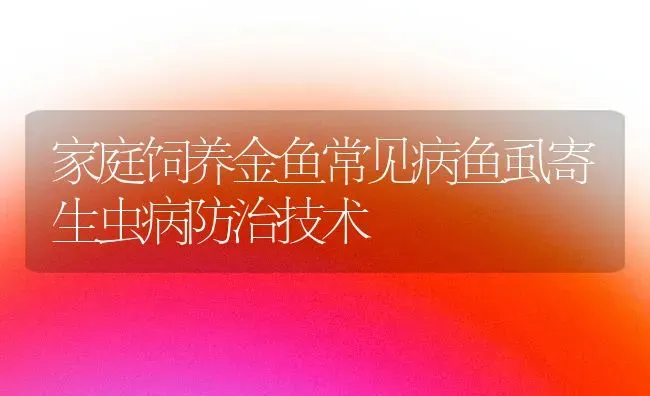 家庭饲养金鱼常见病鱼虱寄生虫病防治技术 | 宠物病虫害防治