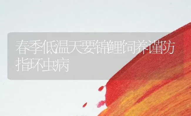 春季低温天要锦鲤饲养谨防指环虫病 | 宠物病虫害防治