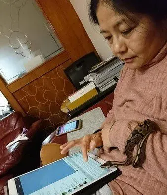 蛇也有亲人的一面 妈妈与蛇一起玩平板超温馨！ | 蛇