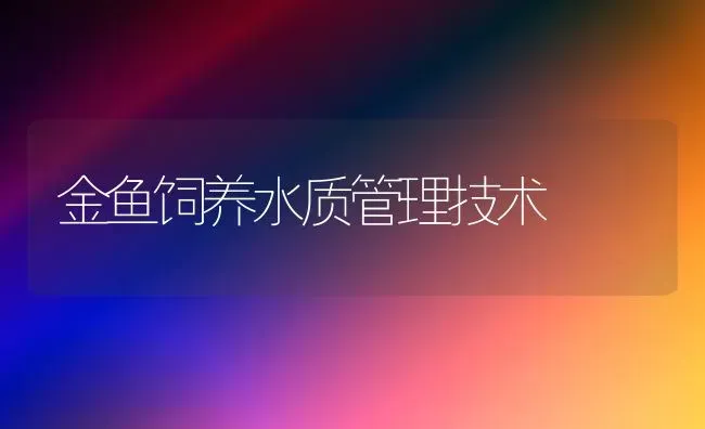 金鱼饲养水质管理技术 | 鱼类宠物
