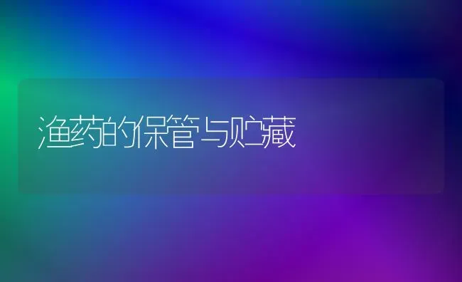 金鱼繁殖之亲鱼的选择技术 | 鱼类宠物