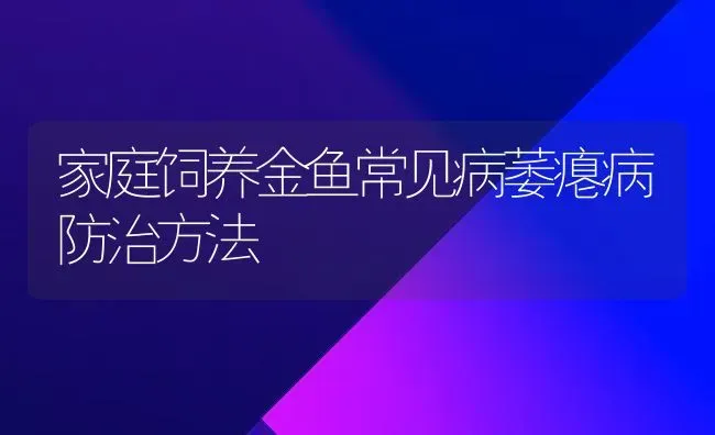 家庭饲养金鱼常见病萎瘪病防治方法 | 宠物病虫害防治