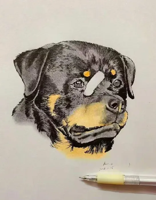 小黑警犬眉眼间横贴ok蹦 坚定小表情萌翻网友 | 狗
