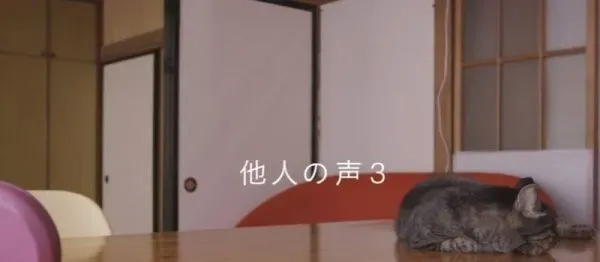 猫咪到底认得主人声音吗？答案在这支广告里 | 猫