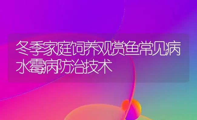 冬季家庭饲养观赏鱼常见病水霉病防治技术 | 宠物病虫害防治