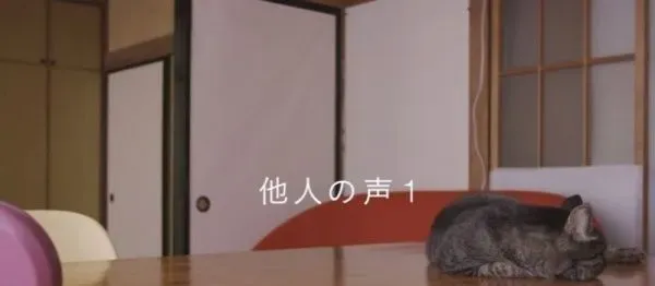 猫咪到底认得主人声音吗？答案在这支广告里 | 猫