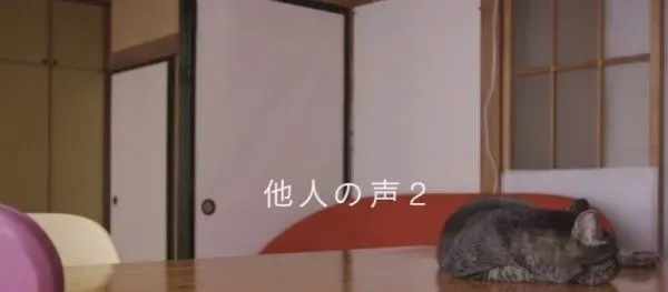 猫咪到底认得主人声音吗？答案在这支广告里 | 猫