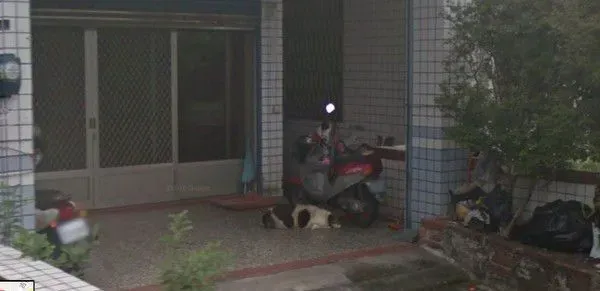 时间与回忆都静止了 谷歌地图带你回忆过去 | 狗