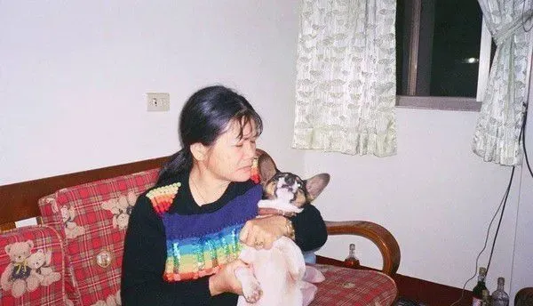 时间与回忆都静止了 谷歌地图带你回忆过去 | 狗