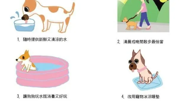 英国斗牛犬|斗牛犬夏季消暑4大招