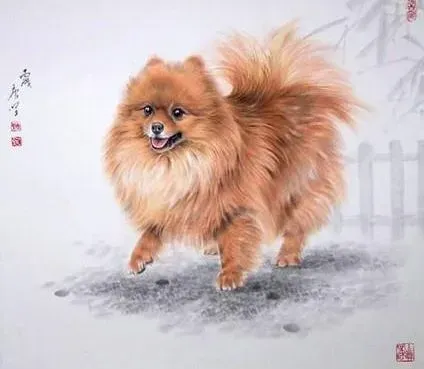 博美犬|日常生活中博美犬不能碰的食物有哪些