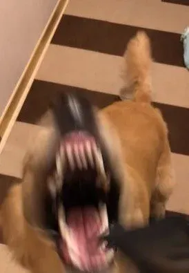 请叫我