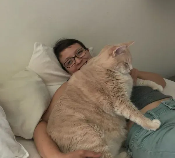 爱猫情侣想收养第三只猫 意外被一只橘喵吉拉吸引 | 猫