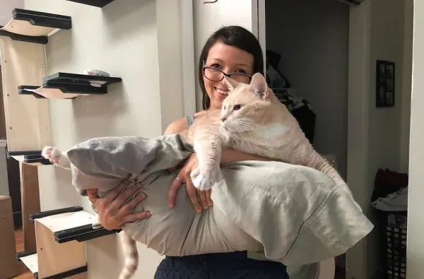 爱猫情侣想收养第三只猫 意外被一只橘喵吉拉吸引 | 猫
