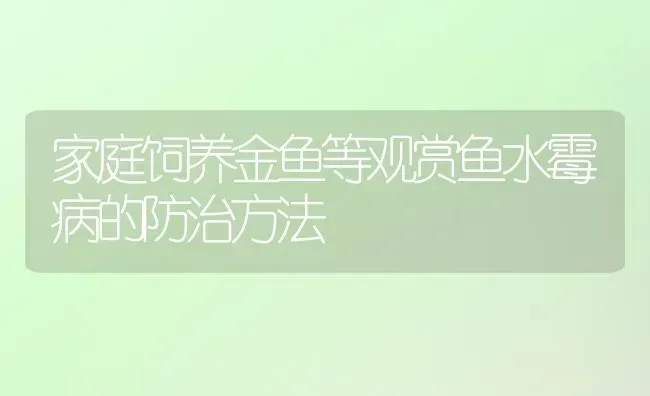 家庭饲养金鱼等观赏鱼水霉病的防治方法 | 宠物病虫害防治