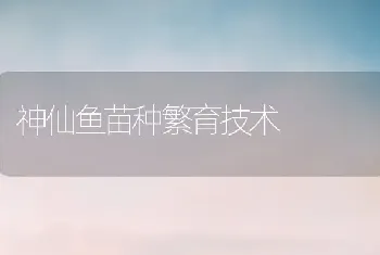 神仙鱼苗种繁育技术