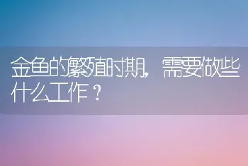 金鱼的繁殖时期,需要做些什么工作?