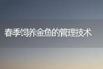 春季饲养金鱼的管理技术