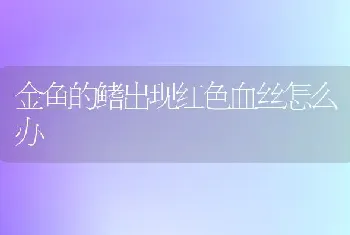 金鱼的鳍出现红色血丝怎么办