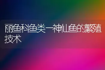 丽鱼科鱼类—神仙鱼的繁殖技术