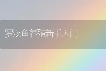 罗汉鱼养殖新手入门