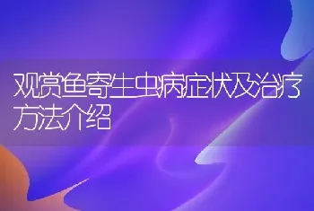 观赏鱼寄生虫病症状及治疗方法介绍