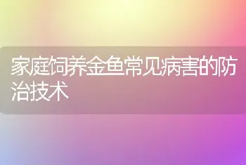 家庭饲养金鱼常见病害的防治技术