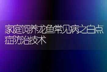 家庭饲养龙鱼常见病之白点症防治技术