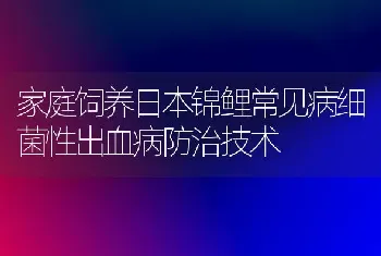 家庭饲养日本锦鲤常见病细菌性出血病防治技术