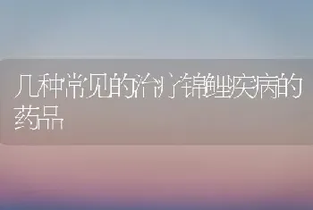 几种常见的治疗锦鲤疾病的药品