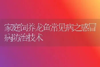 家庭饲养龙鱼常见病之感冒病防治技术