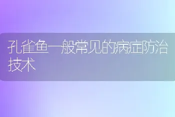 孔雀鱼一般常见的病症防治技术