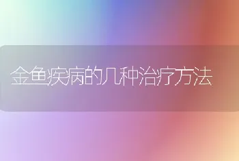 金鱼疾病的几种治疗方法