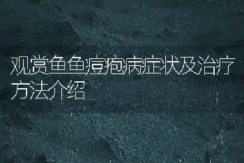 观赏鱼鱼痘疱病症状及治疗方法介绍