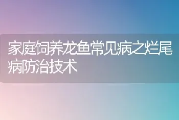 家庭饲养龙鱼常见病之烂尾病防治技术