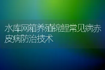 水库网箱养殖锦鲤常见病赤皮病防治技术