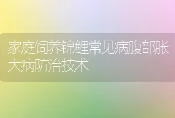 家庭饲养锦鲤常见病腹部胀大病防治技术