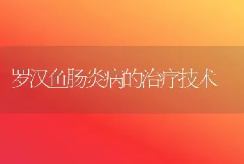 罗汉鱼肠炎病的治疗技术