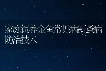 家庭饲养金鱼常见病新蚤病防治技术