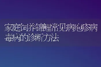 家庭饲养锦鲤常见病疱疹病毒病的诊断方法