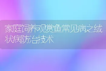 家庭饲养观赏鱼常见病之绒状病防治技术