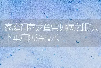 家庭饲养龙鱼常见病之眼球下垂症防治技术